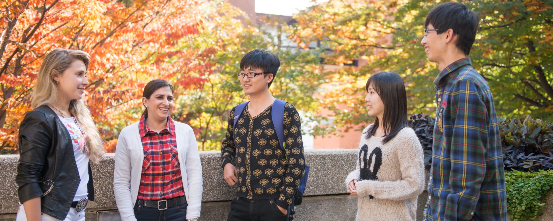 undergraduate resources photo