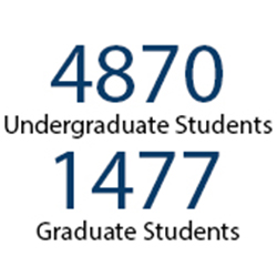 Fall 2021 undergraduate and graduate enrollments