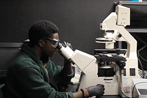 young man wearing safety glasses peers into a microscope