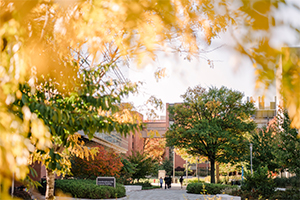 Yellow and green leaves frame a view of the Interdisciplinary Life Sciences Building