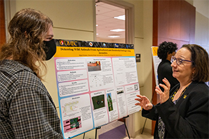 two people discuss poster presentation with U-M-B-C- logo